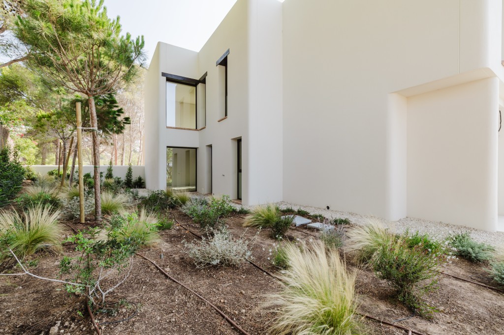 xlarge_CBNAAP1509_43886_V0_58D8