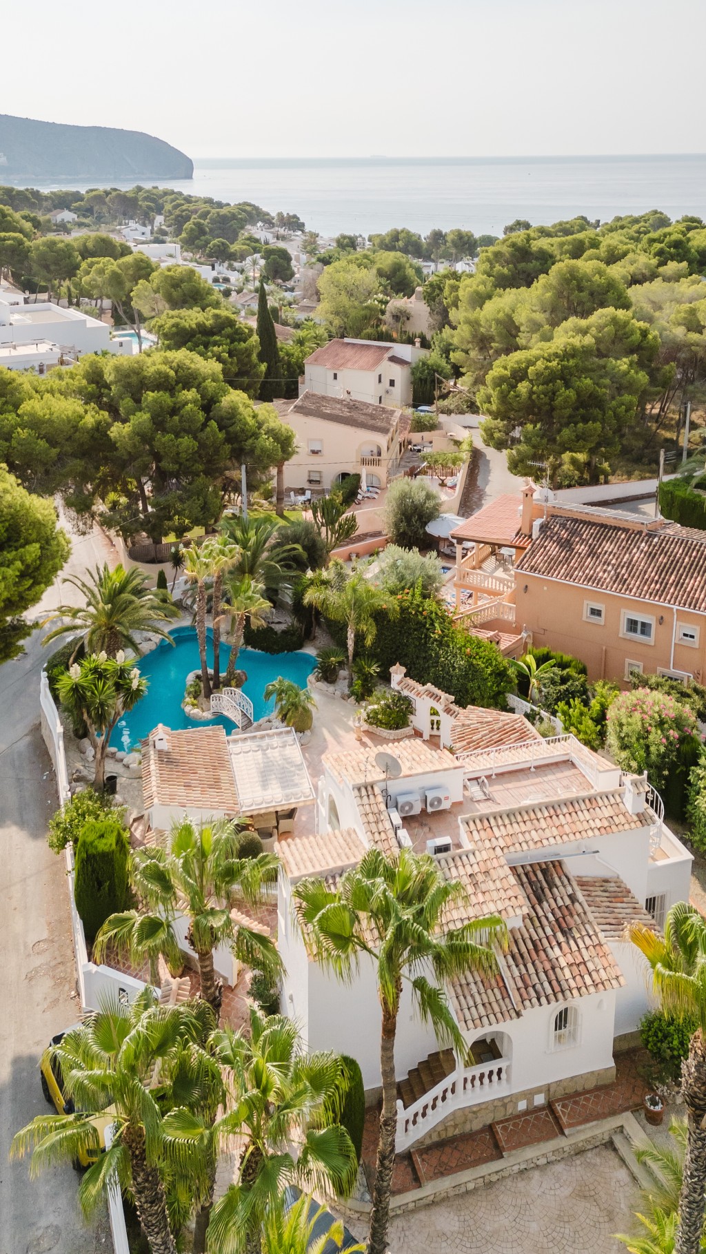 xlarge_CBNAAP1631_44268_V0_77F1