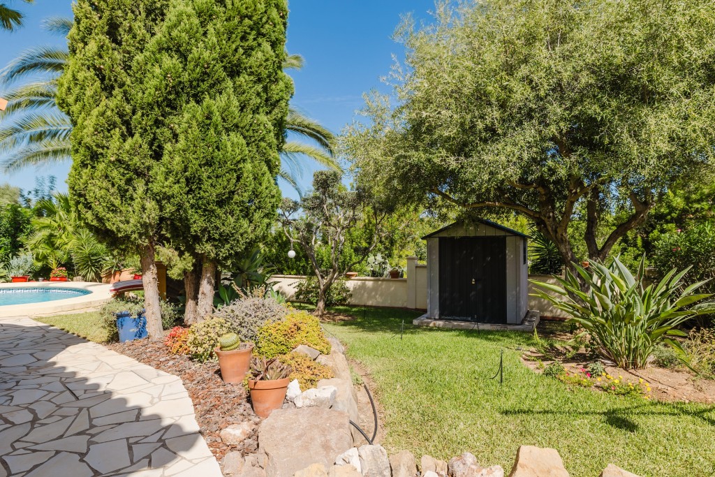 xlarge_CBNAAP1705_44888_V0_89CD