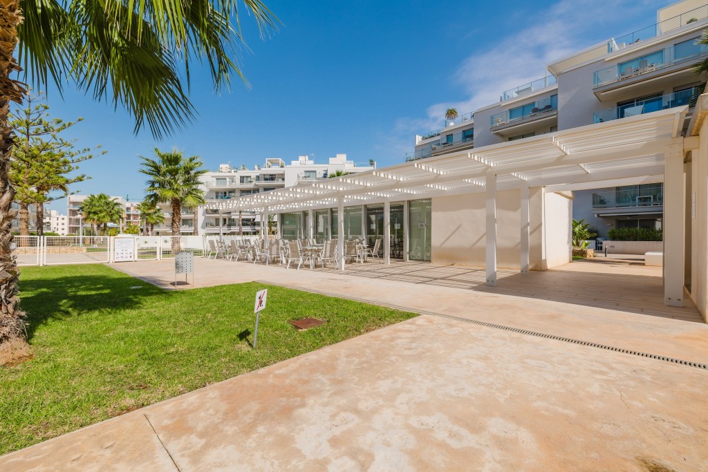 xlarge_CBNAAP1729_45472_V0_786C