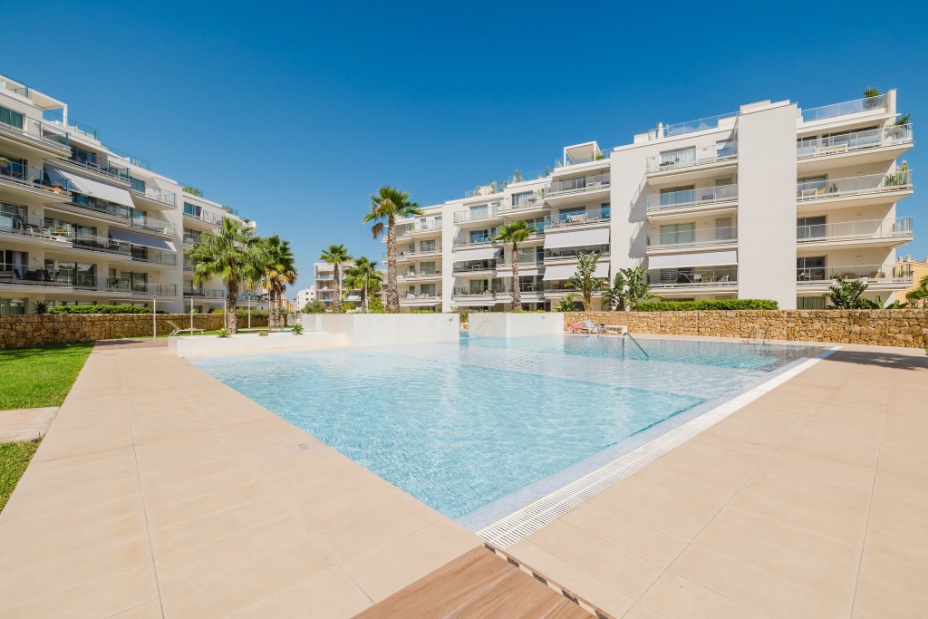 xlarge_CBNAAP1729_45481_V0_747D