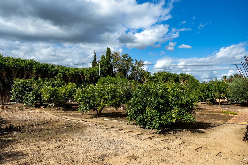 xlarge_CBNAAP1754_46331_V0_24BF