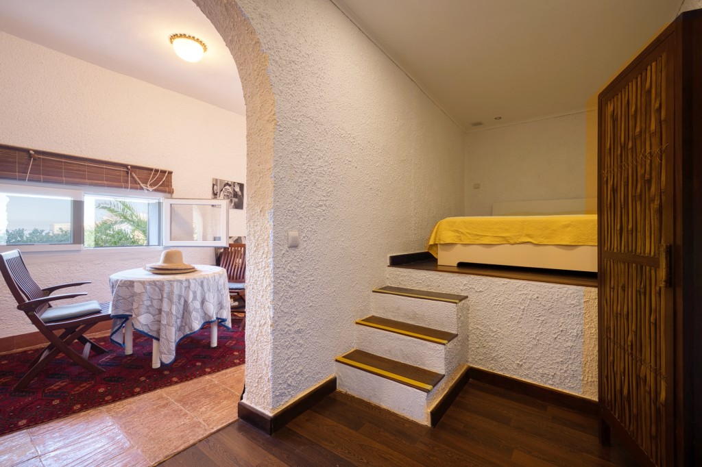 xlarge_CBNAAP1793_49788_V0_5D01