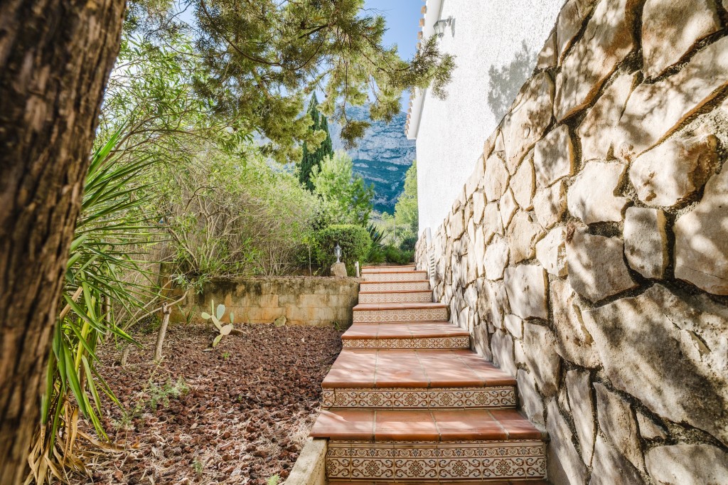 xlarge_CBNAAP1793_49796_V0_6B9C