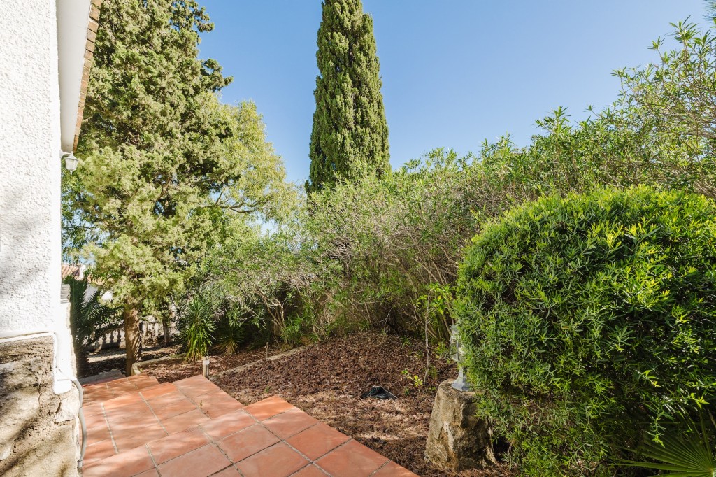 xlarge_CBNAAP1793_49797_V0_A47C