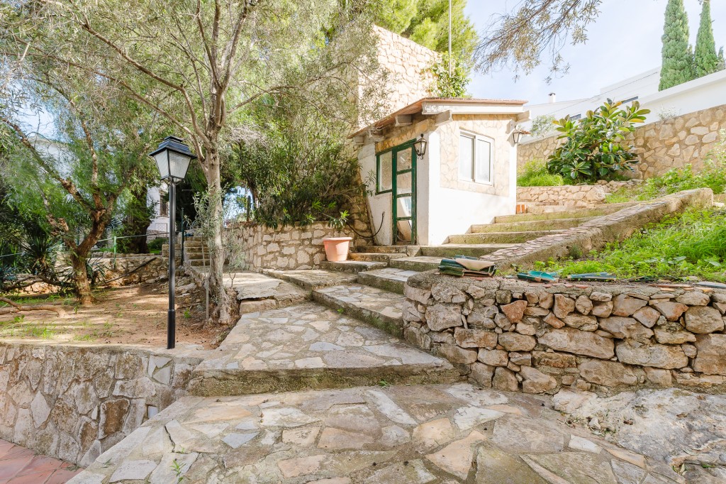 xlarge_CBNAAP1794_49220_V0_0749