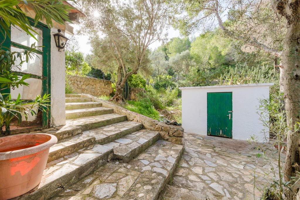 xlarge_CBNAAP1794_49221_V0_03AB