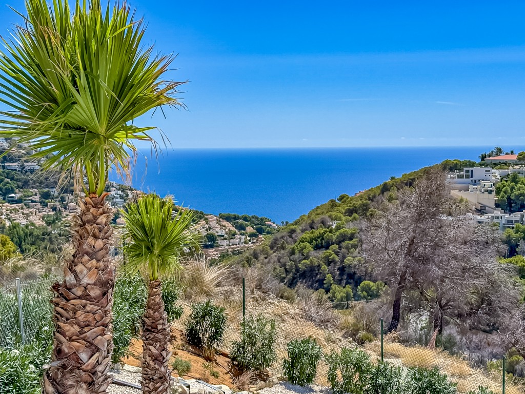 xlarge_CBNAAP31_49497_V0_DE19