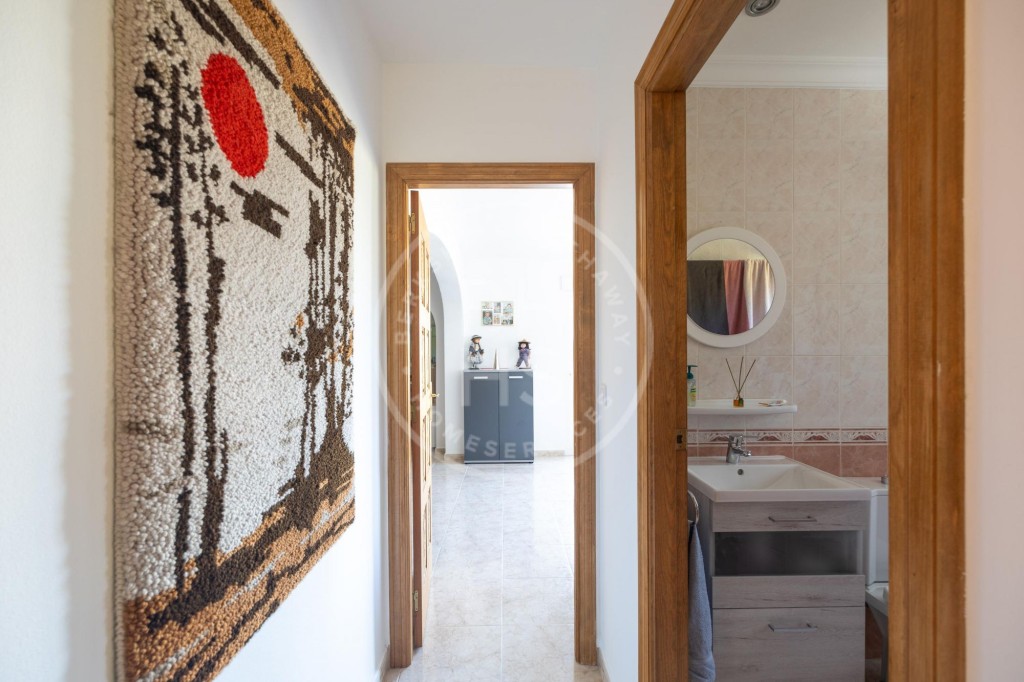 xlarge_CBNAAP330_5605_V0_46D6