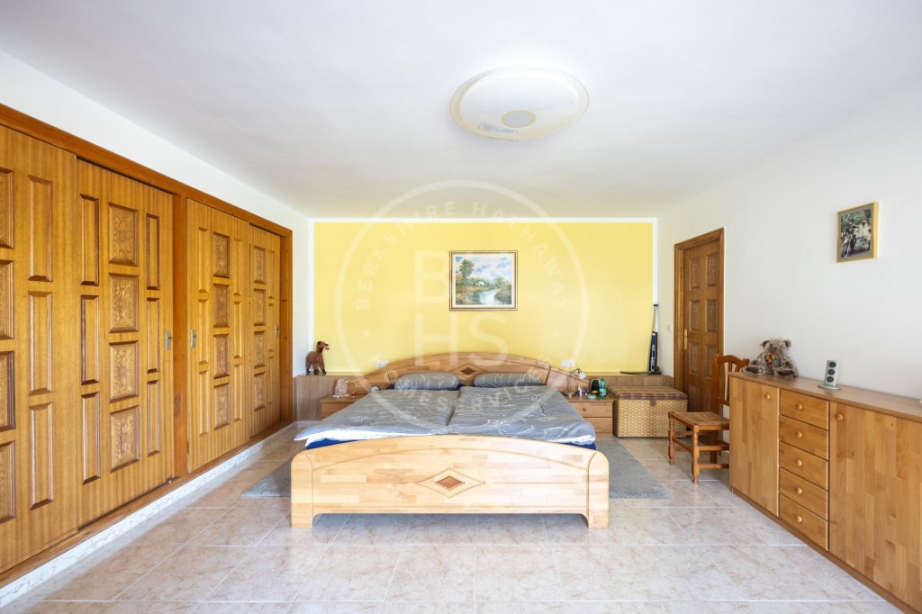 xlarge_CBNAAP330_5607_V0_526D