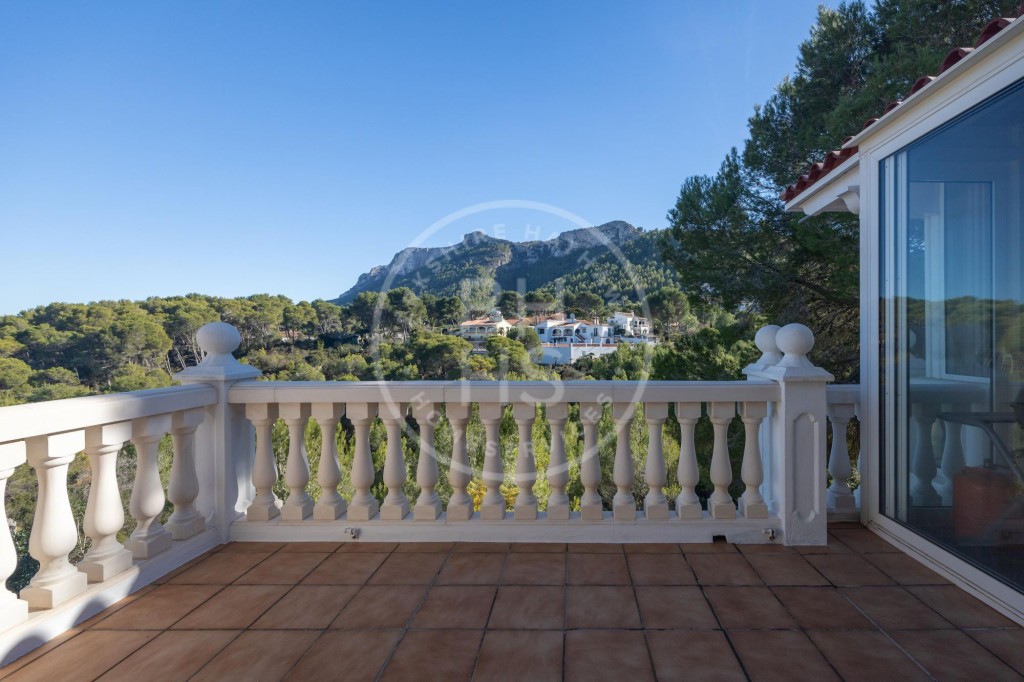 xlarge_CBNAAP330_5629_V0_42D6