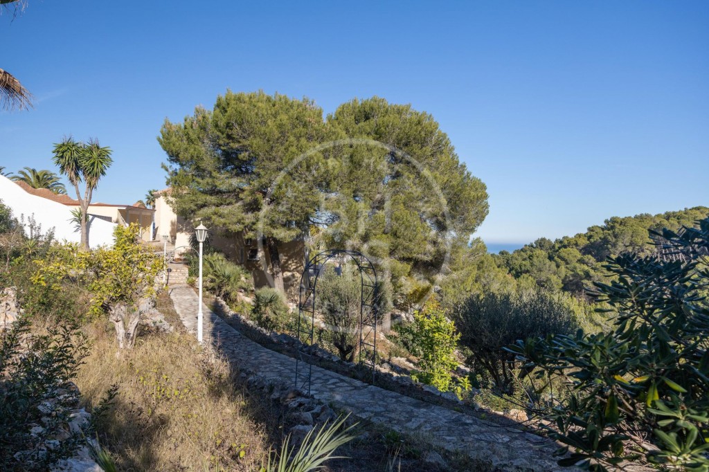 xlarge_CBNAAP330_5633_V0_2EEA