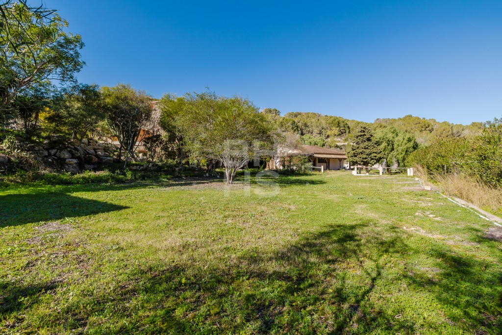 xlarge_CBNAAP1231_29837_V0_2E00