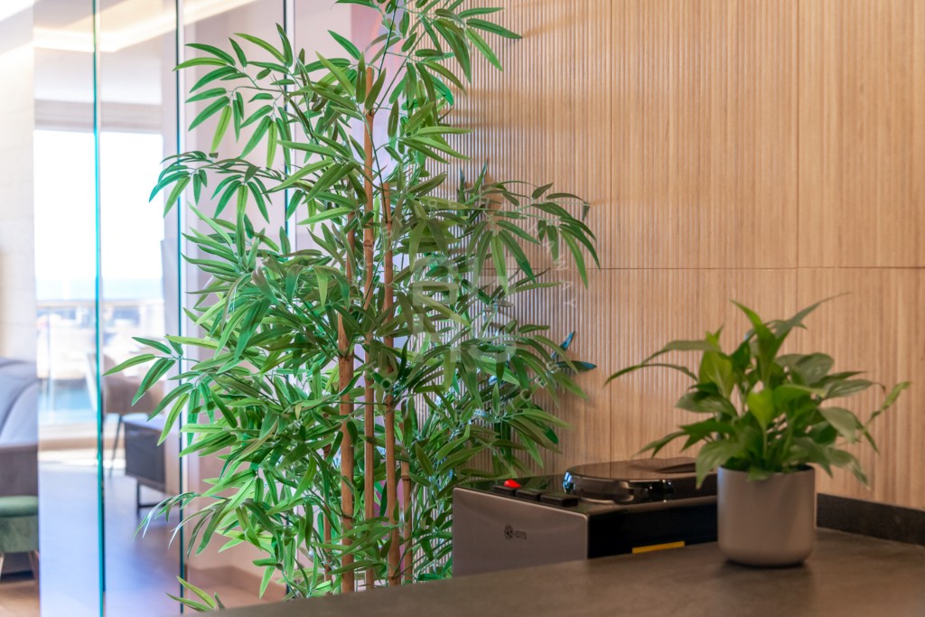 xlarge_CBNAAP1444_35459_V0_FD7B