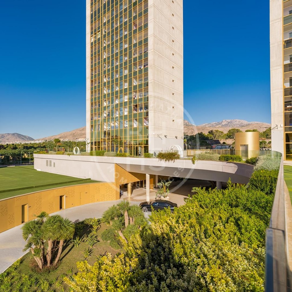 xlarge_CBNAAP1608_40685_V0_E008