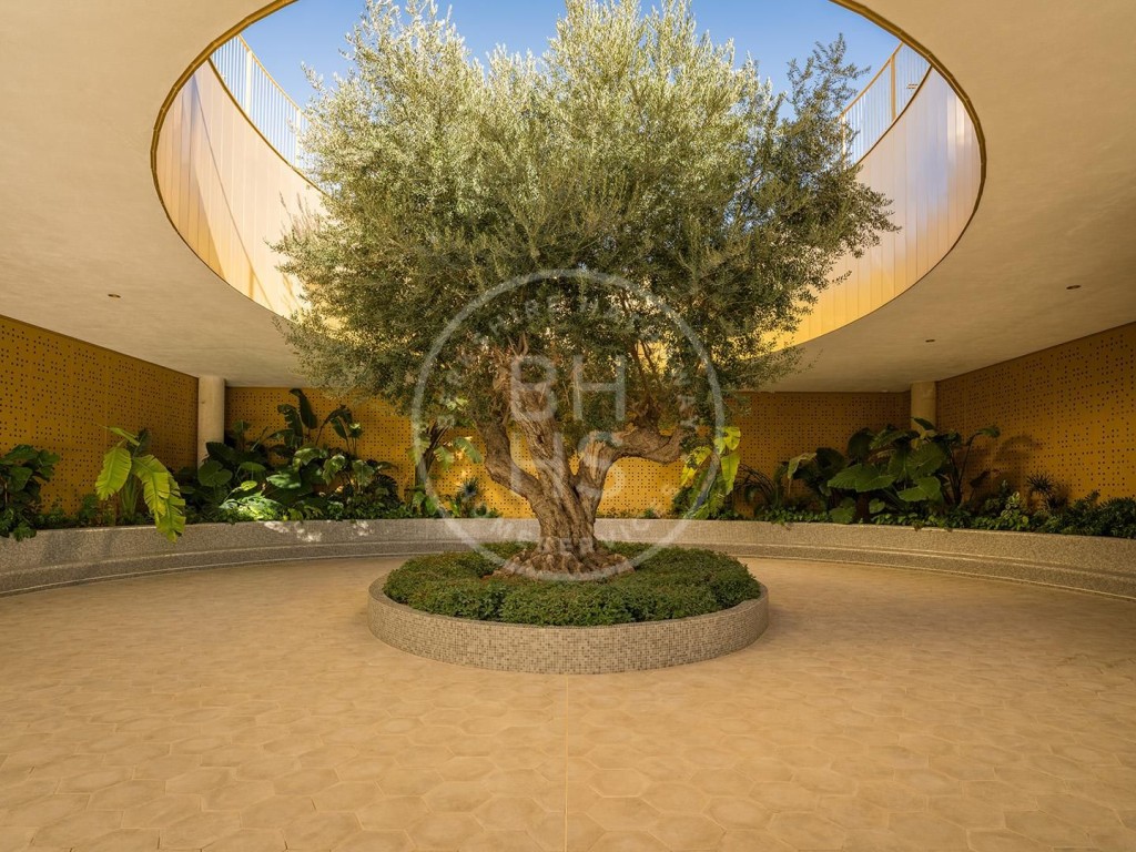 xlarge_CBNAAP1608_40693_V0_968A