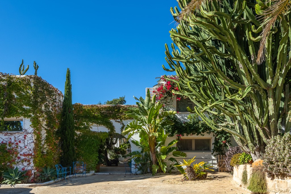 xlarge_CBNAAP1846_51341_V0_30C6