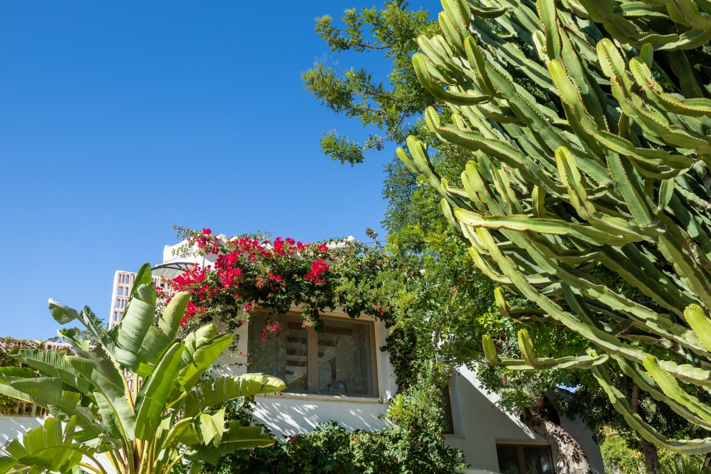 xlarge_CBNAAP1846_51342_V0_68C3