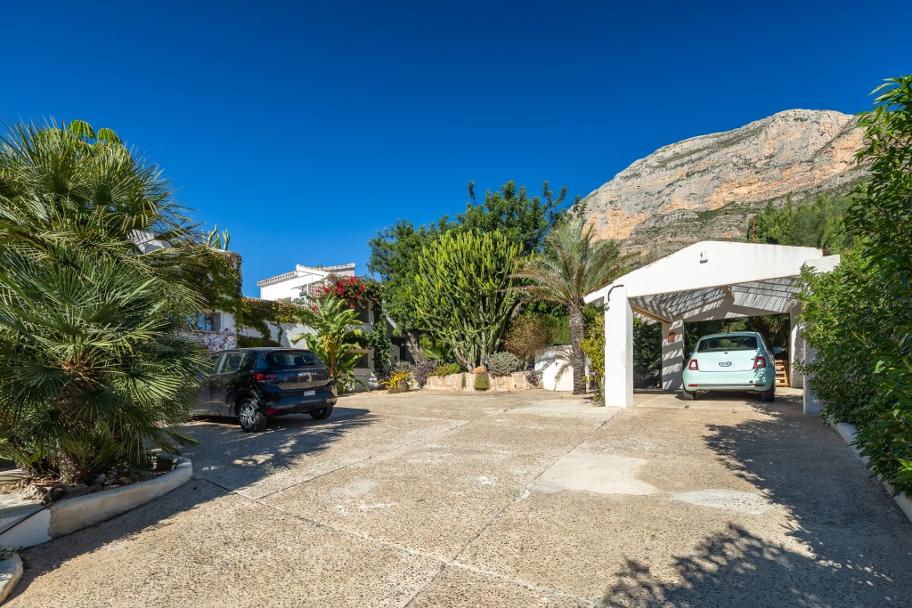 xlarge_CBNAAP1846_51343_V0_3180