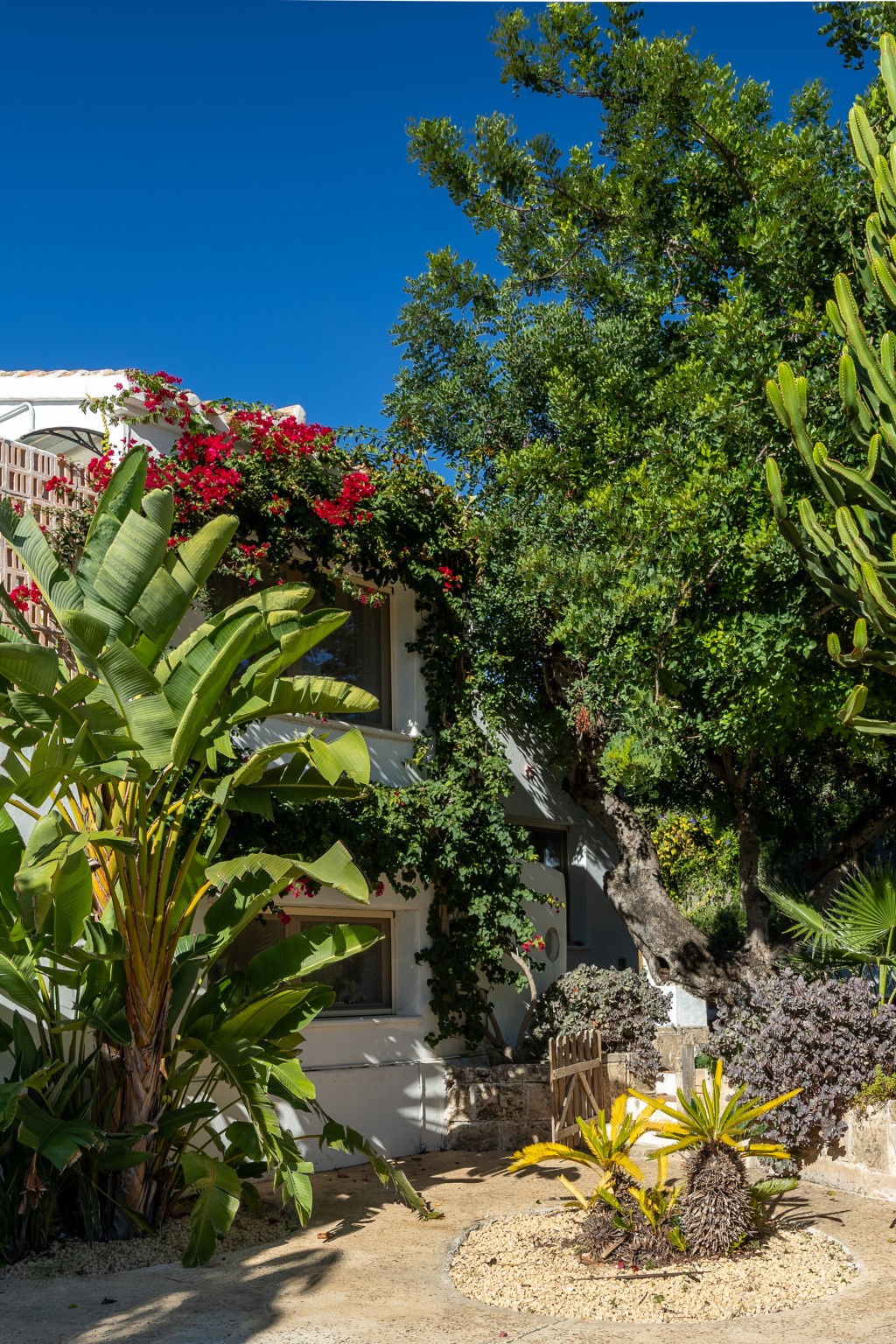 xlarge_CBNAAP1846_51344_V0_3470