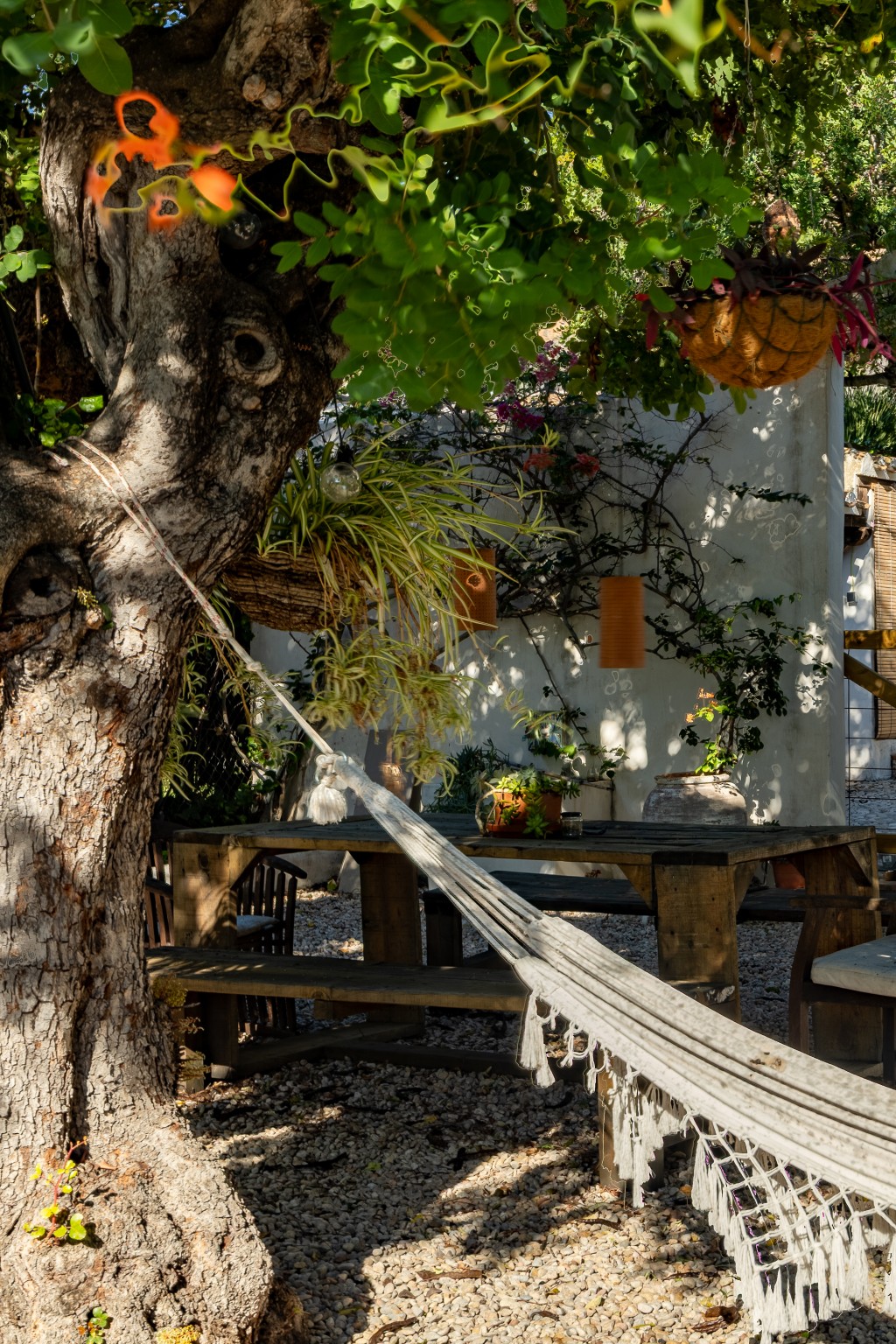 xlarge_CBNAAP1846_51352_V0_DC4D