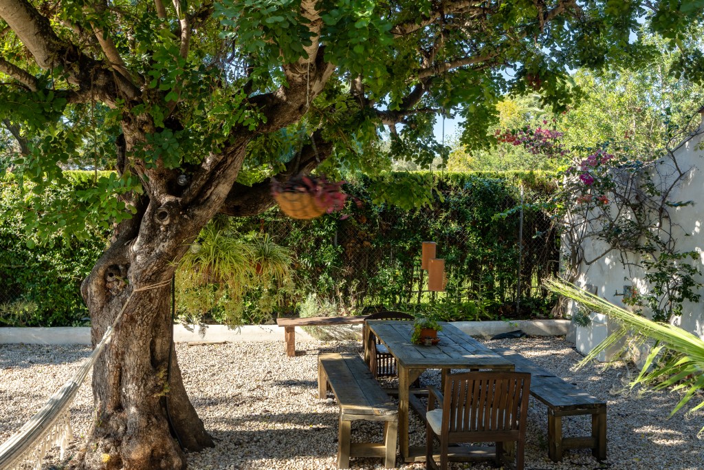 xlarge_CBNAAP1846_51382_V0_20D1