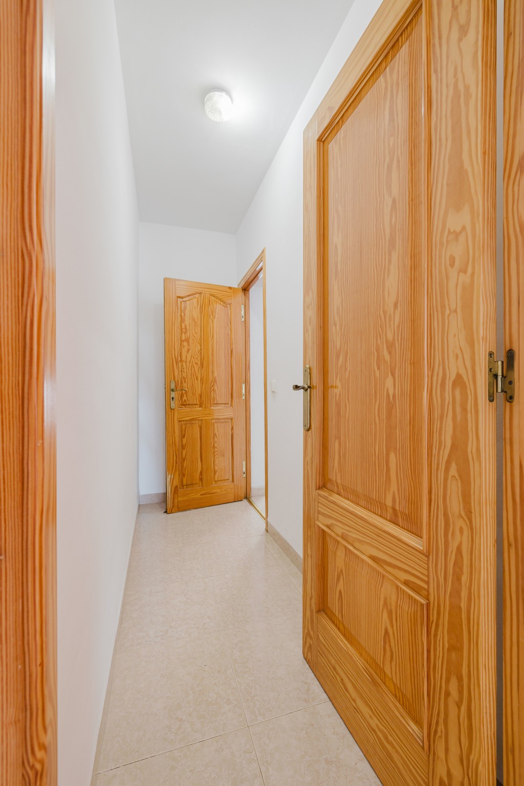 xlarge_CBNAAP1967_53692_V0_42D0