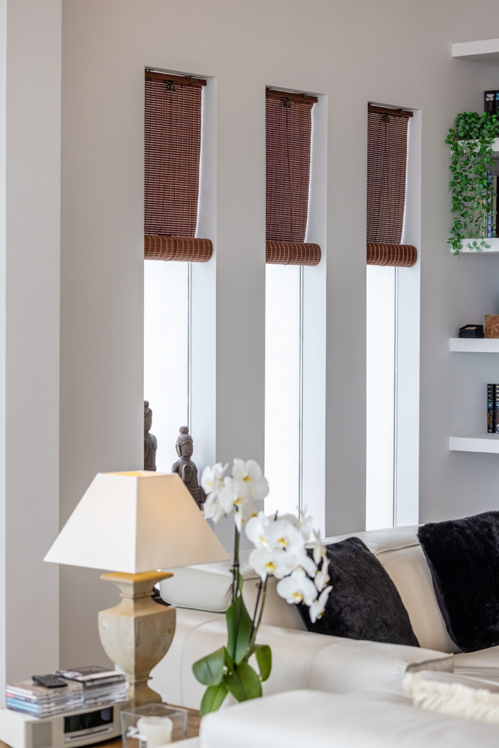 xlarge_CBNAAP2003_54405_V0_9409