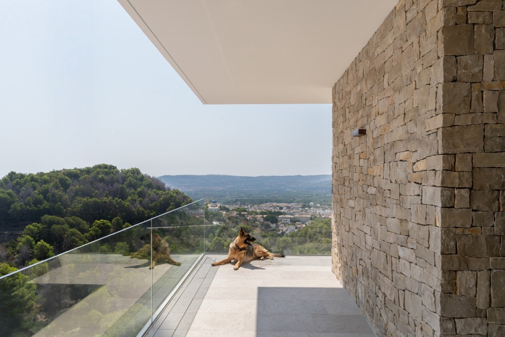 xlarge_CBNAAP2016_55042_V0_6016