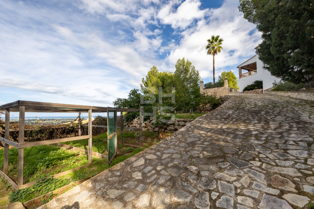 xlarge_CBNAAP1166_25933_V0_DA51