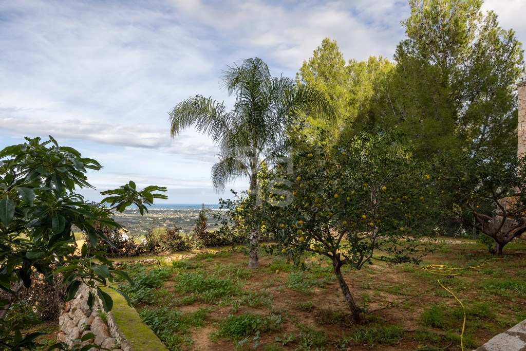 xlarge_CBNAAP1166_25934_V0_3269